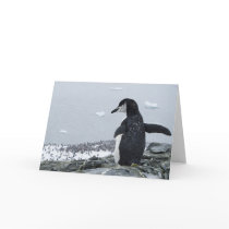 Penguinzilla cards by drthorpe Penguinzilla cards
