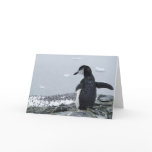 Penguinzilla cards