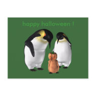Pengukin postcard