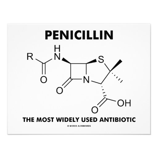 Most Widely Used Antibiotics