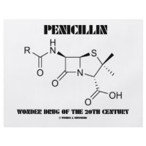 Penicillin Wonder Drug Of The 20th Century flyers