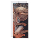 Penitent St. Jerome By Pontormo Jacopo rack cards