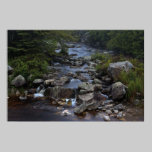 Pennant Brook III fine art print