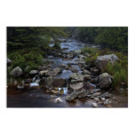 rural, brook, nova scotia, canada, long exposure,