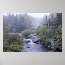 Pennant Brook in Early June fine art print