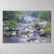 Pennant Brook in Late Spring fine art print