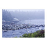 2010, art, brook, canada, decor, home decor,