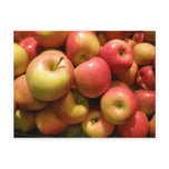 Pennsylvania Apples Postcard