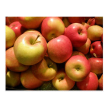 Pennsylvania Apples Postcard