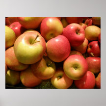 Pennsylvania Apples Poster, 30.67" X 23"