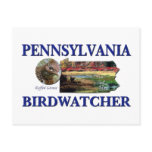 Pennsylvania Birdwatcher