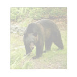 Pennsylvania Black Bear Memo Pads