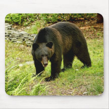 Pennsylvania Black Bear Mousepad