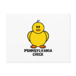 Pennsylvania Chick