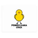 Pennsylvania Chick Postcard