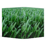 Pennsylvania Corn Binder
