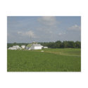 Pennsylvania Countryside postcards