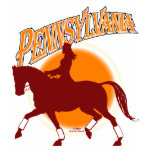 Pennsylvania Dressage sunrise 2 shirt F/B