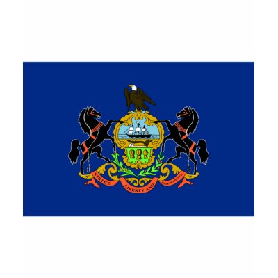 Pennsylvania FLAG International T-shirt by flagshirt