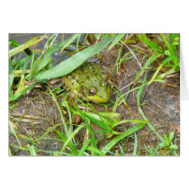 Pennsylvania Frog cards