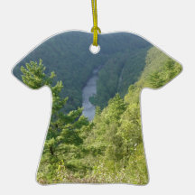 Pennsylvania Grand Canyon by Ave Hurley Christmas Tree Ornament