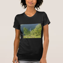 Pennsylvania Grand Canyon by Ave Hurley T Shirt