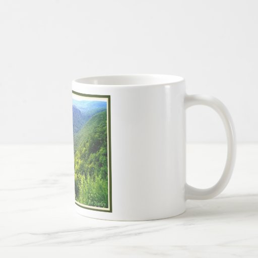 Pennsylvania Grand Canyon in summer Coffee Mugs