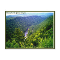 Pennsylvania Grand Canyon in summer postcards by AveHurley Pennsylvania Grand Canyon in summer postcards