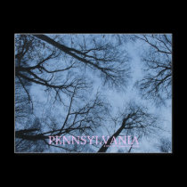 Pennsylvania Touching the Skies Postcard