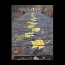 Pennsylvania Walk Through The Park Postcard postcards