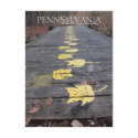 Pennsylvania Walk Through The Park Postcard by AVGPhoto Pennsylvania Walk Through The Park Postcard