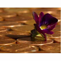Penny Money photo sculptures