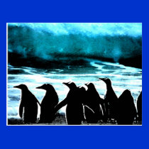 Penquins Waiting to take action postcards