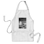 Penshaw Monument Apron