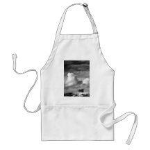 Penshaw Monument Apron