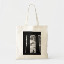 Penshaw Monument with Bicycle Bag