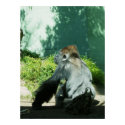 Pensive Gorilla posters
