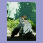 Pensive Gorilla posters
