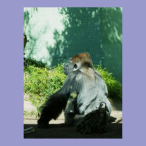 Pensive Gorilla posters