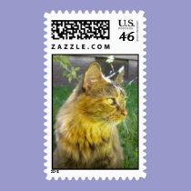 Pensive Precious Kitty Postage stamps