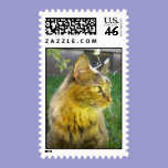 Pensive Precious Kitty Postage postage