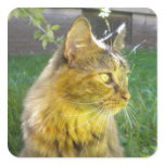 Pensive Precious Kitty Stickers Pensive Precious Kitty Stickers