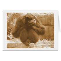 Pensive Primate Cards