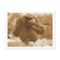 Pensive Primate Postcard