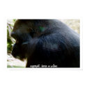 Pensive Silverback posters