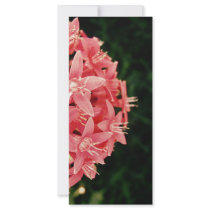 Pentas Custom Rack Cards
