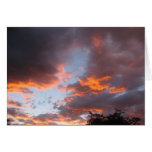 Penticton Dusk cards