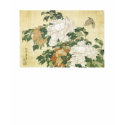 Peonies and Butterflu, 1833-34 t-shirts