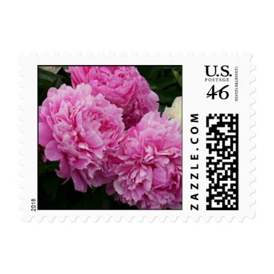 Peonies Bouquet Stamps