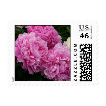 Peonies Bouquet Stamps